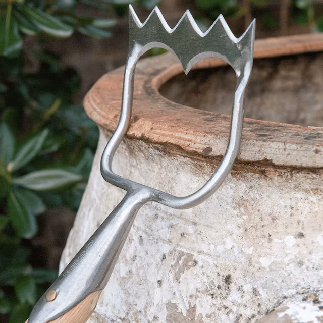 Sneerboer royal Dutch hoe